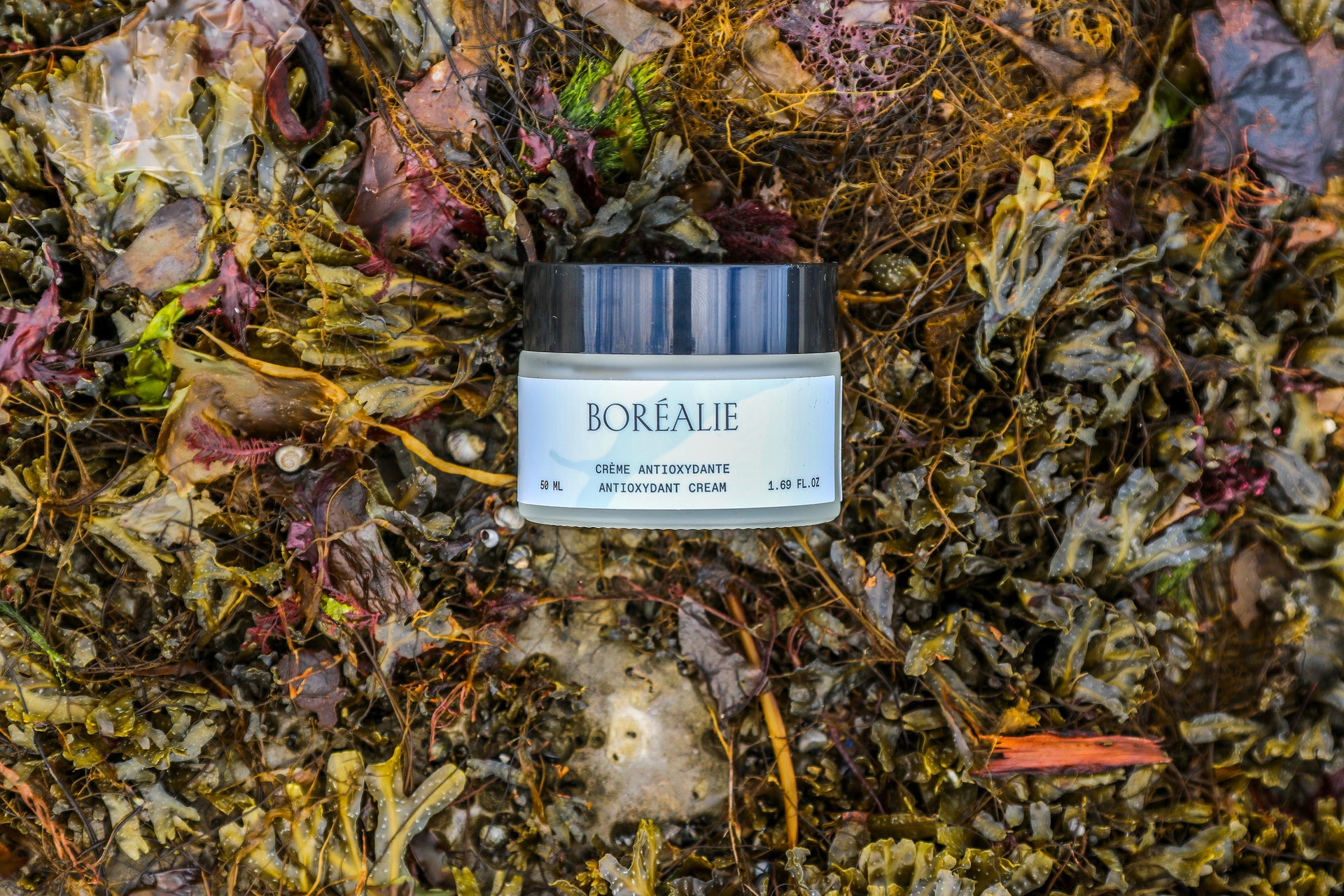 creme antioxydant sur algues du fleuve Saint Laurent. Cosmétiques naturels fabriqués au Quebec