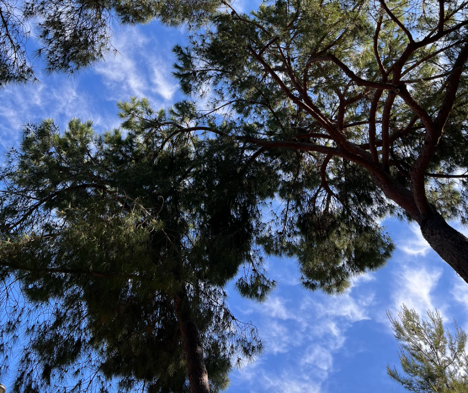 Rituels bien-être à tester cet été